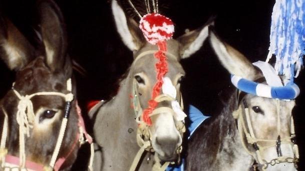 A Manzolino va in scena il Palio dei Ciuchi