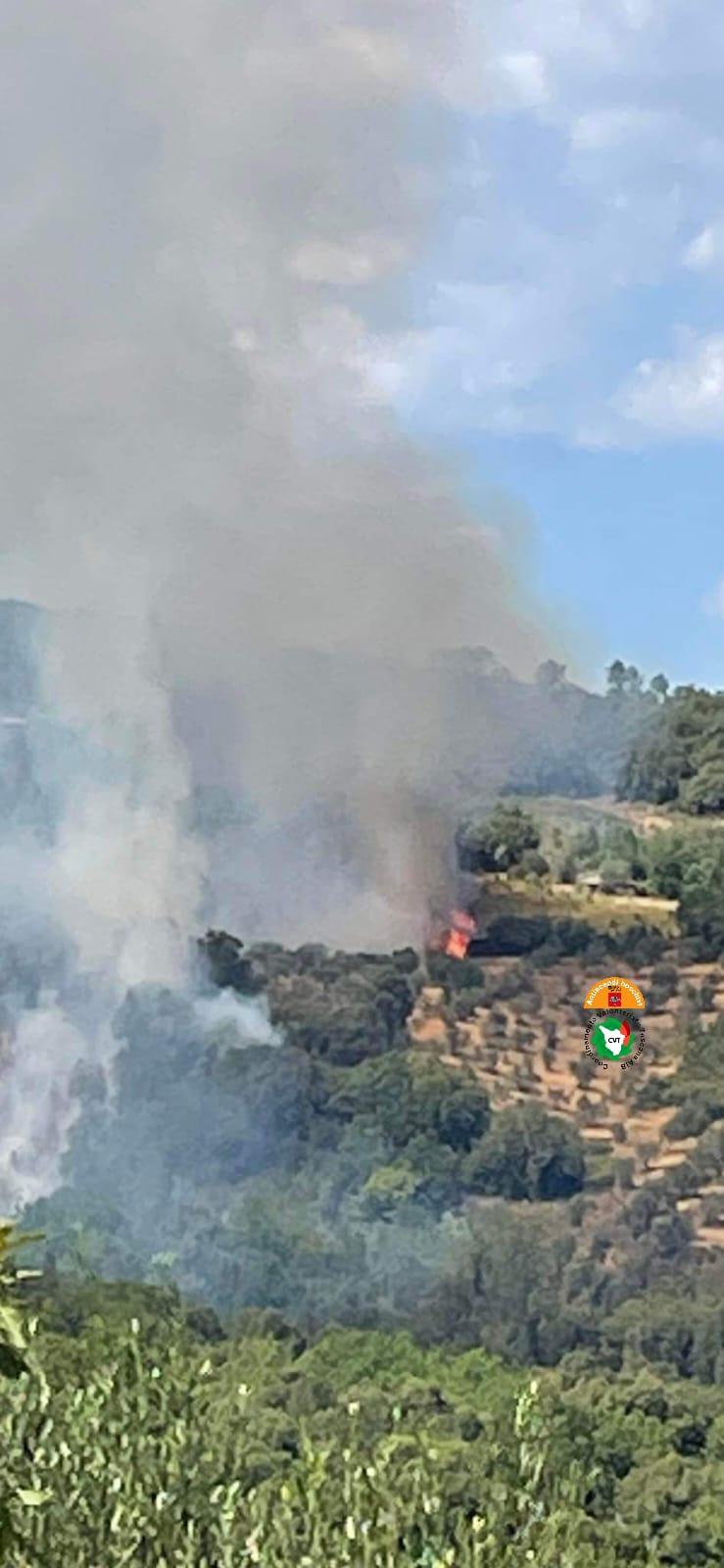 
	L'incendio a Roccastrada&nbsp;

