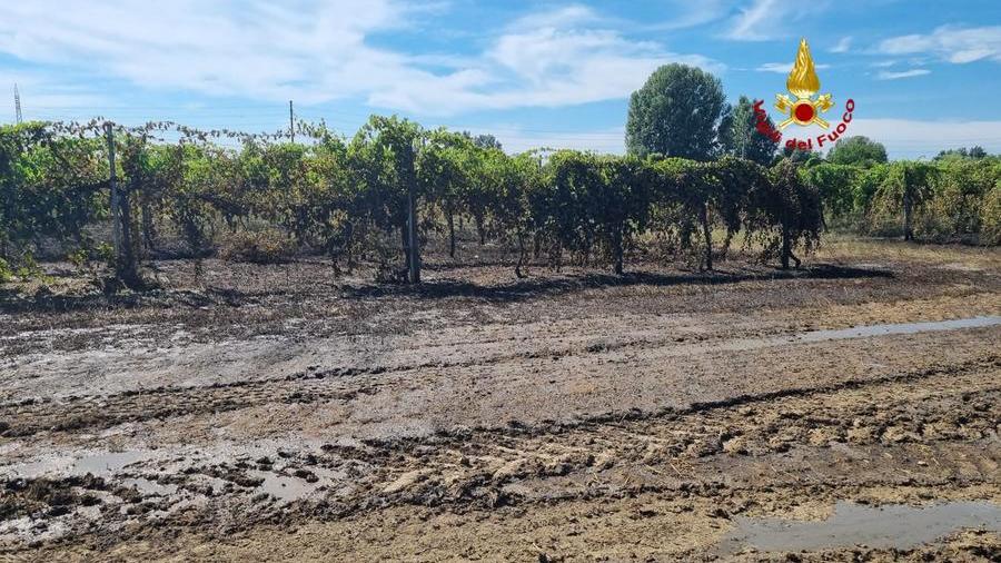 L’imballatrice prende fuoco Distrutti due terreni