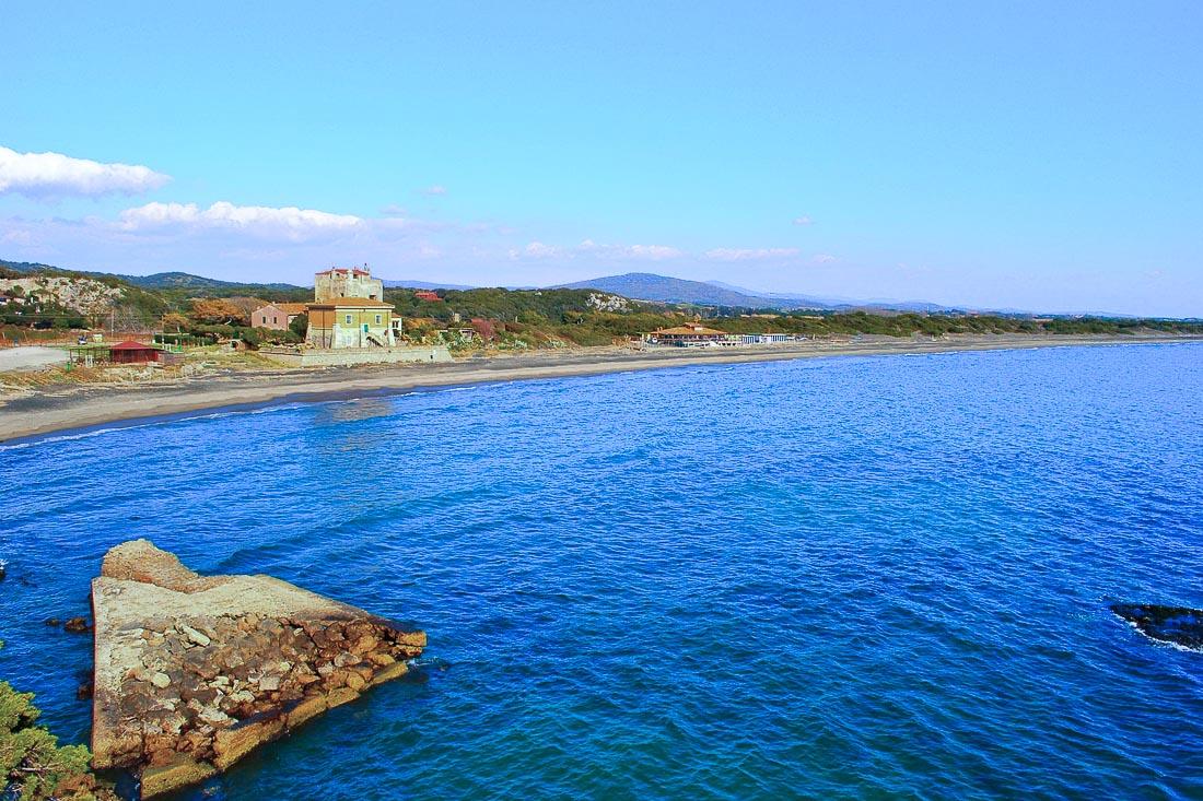 Temperature tropicali nel mare della Toscana: "Così vengono attirati i predatori, anche gli squali" 