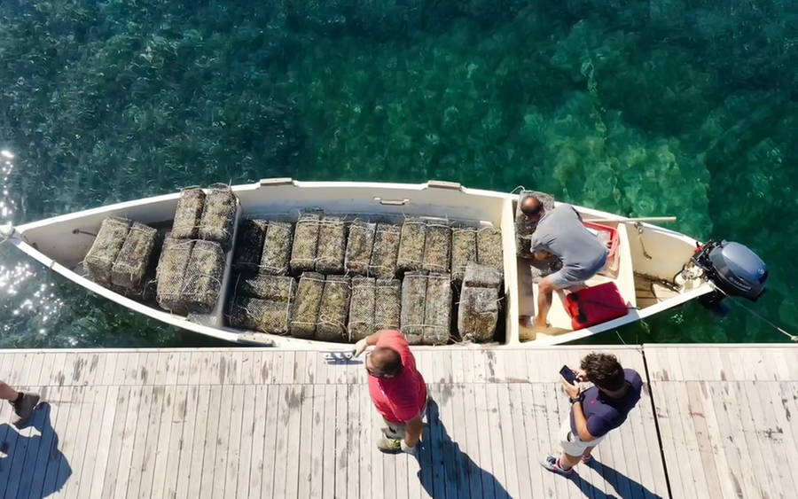 Culuccia isola delle meraviglie: qui nasce il vermentino dall’uva che riposa in mare
