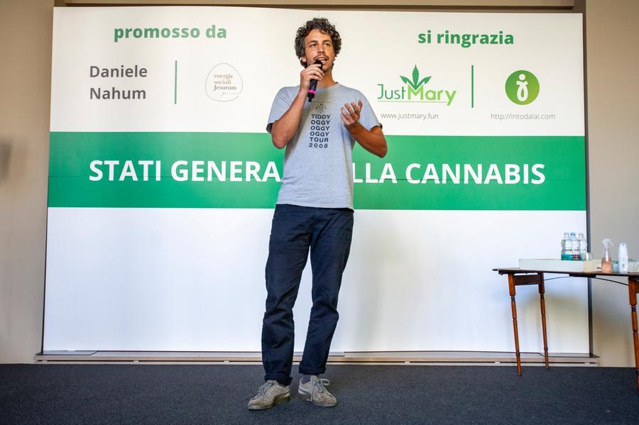 Cannabis La sardina Santori In Casa Coltivo Tre Piantine Cos Non 
