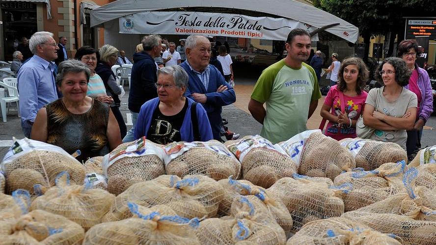 Patata di Montese, ottima annata