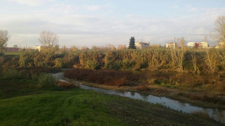 Il fiume Arno nella zona di Mantignano 