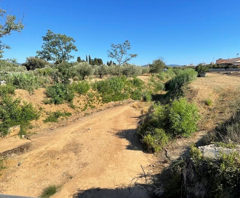 La situazione drammatica in Maremma: alcuni corsi d'acqua non esistono più