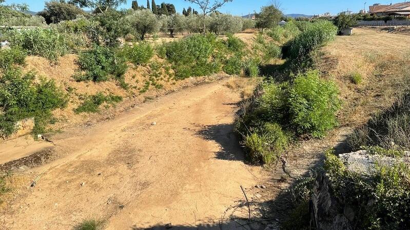 La situazione drammatica in Maremma: alcuni corsi d'acqua non esistono più