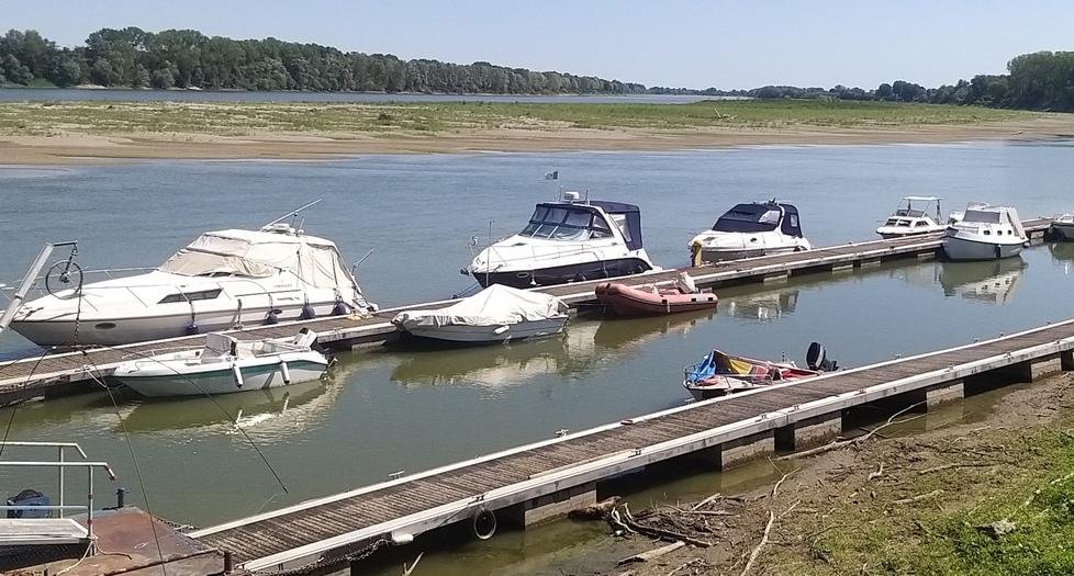 Siccità, il Po è sempre più in secca. Ora è allarme anche per il pesce 