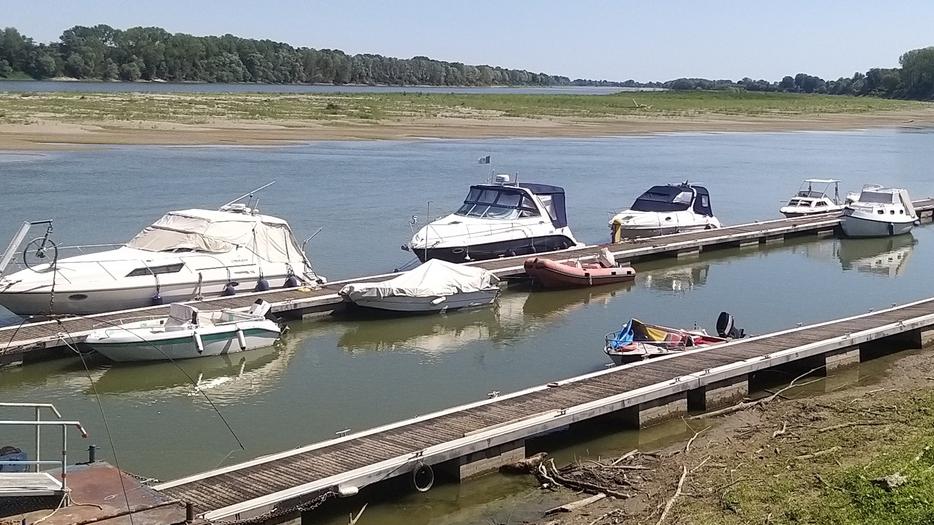 Siccità, il Po è sempre più in secca. Ora è allarme anche per il pesce