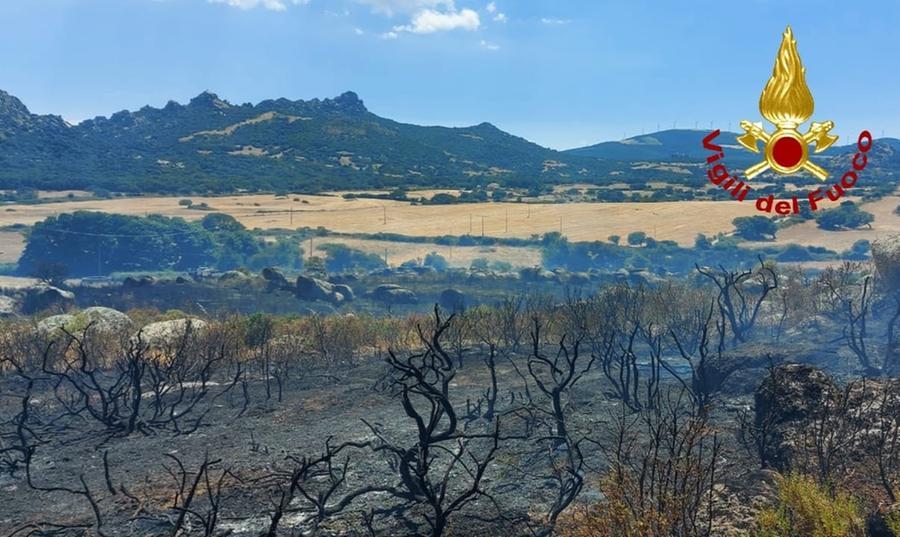 Rogo nella Valle della luna ad Aggius, in azione 2 Canadair e 2 elicotteri