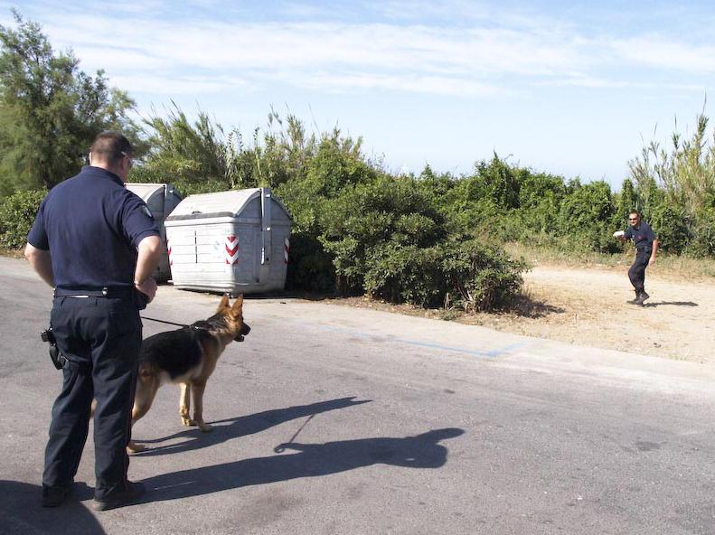 Tenta di stuprarla, lei lo prende a calci e lo mette in fuga