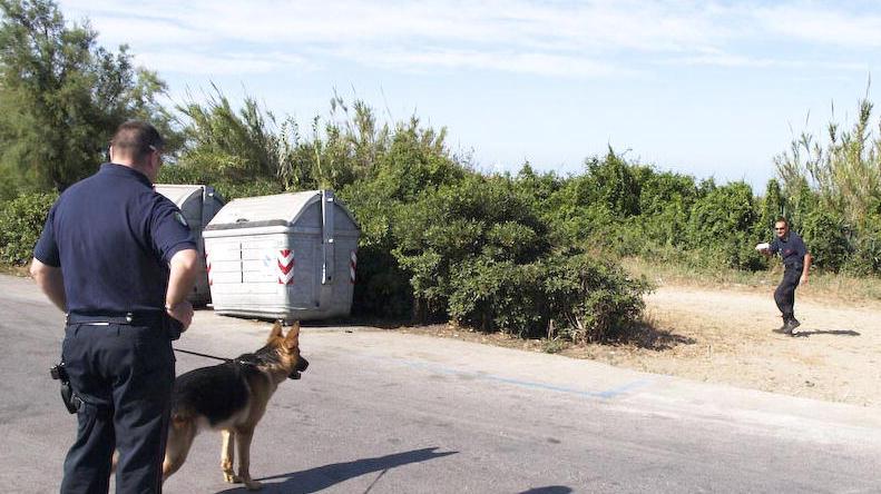 Tenta di stuprarla, lei lo prende a calci e lo mette in fuga