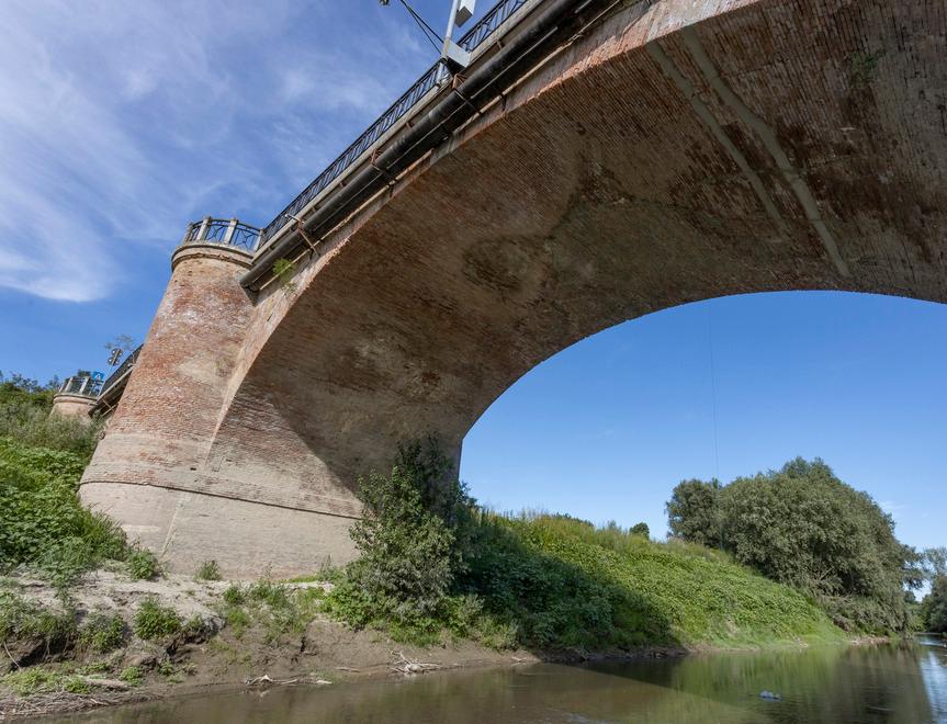Modena, fiumi senz'acqua: sono sparite anche le nutrie