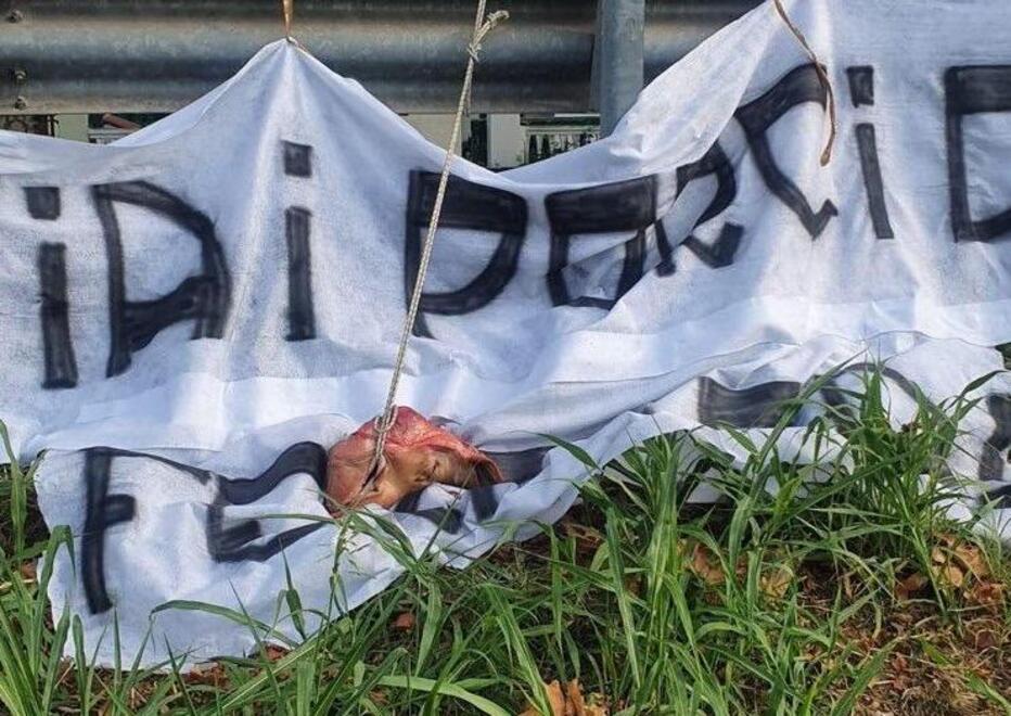Minacce aggravate da testa di maiale: chiesta condanna agli ultras spallini