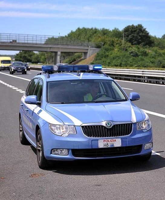 Due cani sulla Ferrara-Lidi, la Polstrada li scorta 