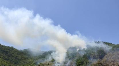Fiamme nei boschi sopra Monzone