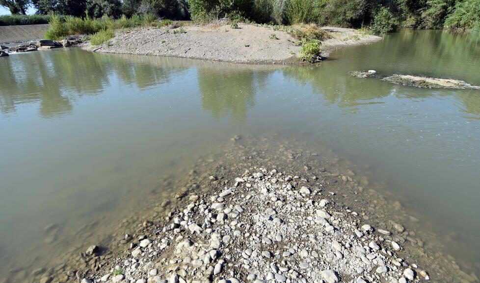 Così appariva l’altro giorno il fiume Ombrone vicino alla città