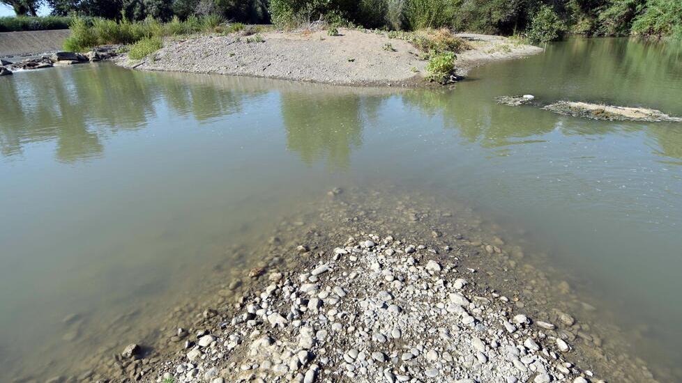 Così appariva l’altro giorno il fiume Ombrone vicino alla città