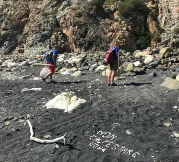 Elba, sulla sabbia nera tracce di tartaruga in visita esplorativa 