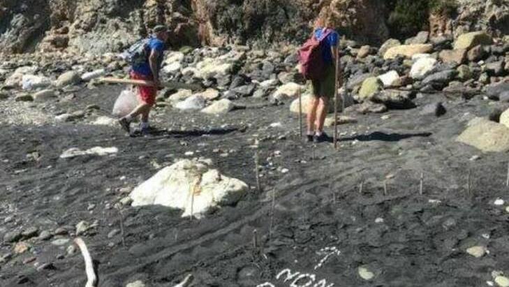 Elba, sulla sabbia nera tracce di tartaruga in visita esplorativa 