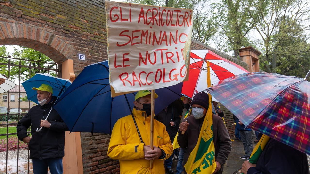 Bondeno. Consiglio di Stato con il Comune. Legittimo il contenimento nutrie