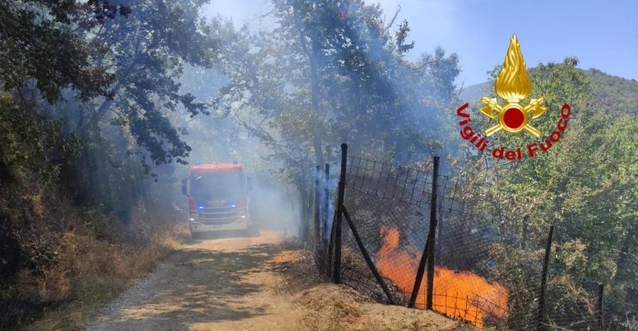 Pistoia, in fiamme il bosco sopra Santomoro