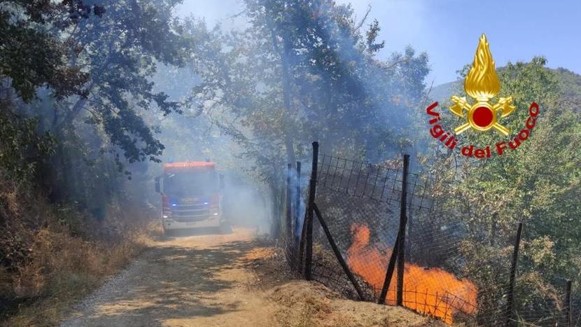 Pistoia, in fiamme il bosco sopra Santomoro