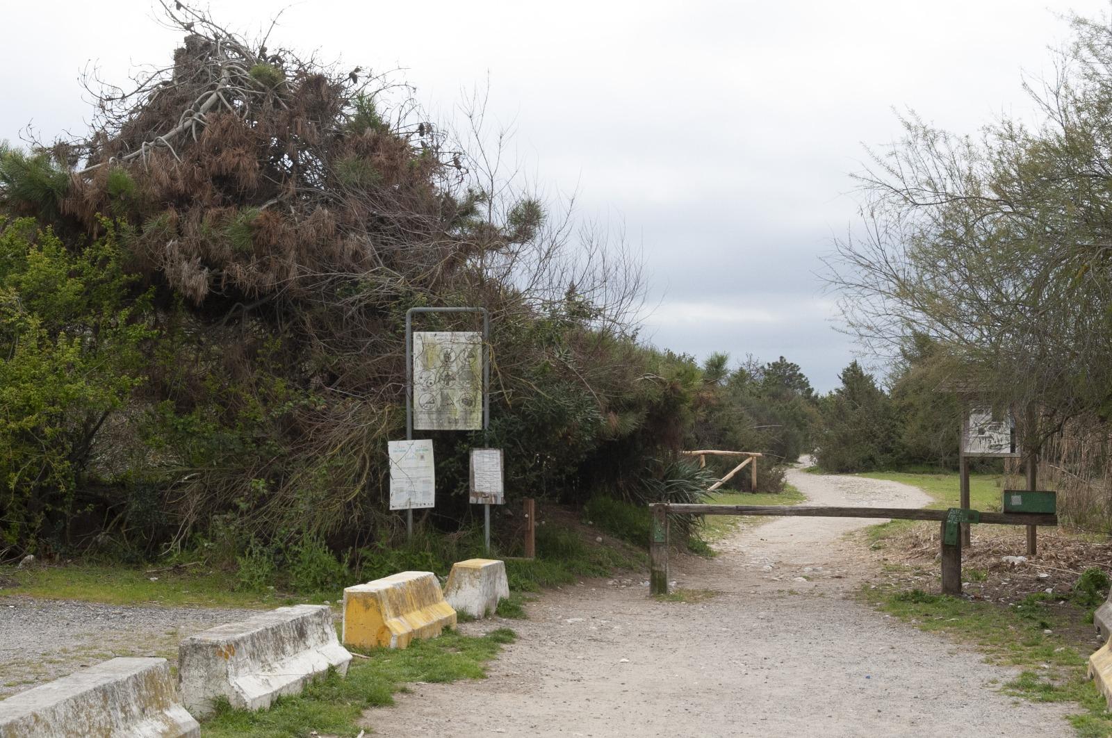 Ciclovia a Viareggio nella Lecciona, il Parco conferma il suo “no”: «Percorso incompatibile» 