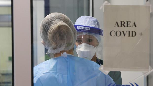 Covid in Sardegna, 2796 nuovi casi e 4 decessi