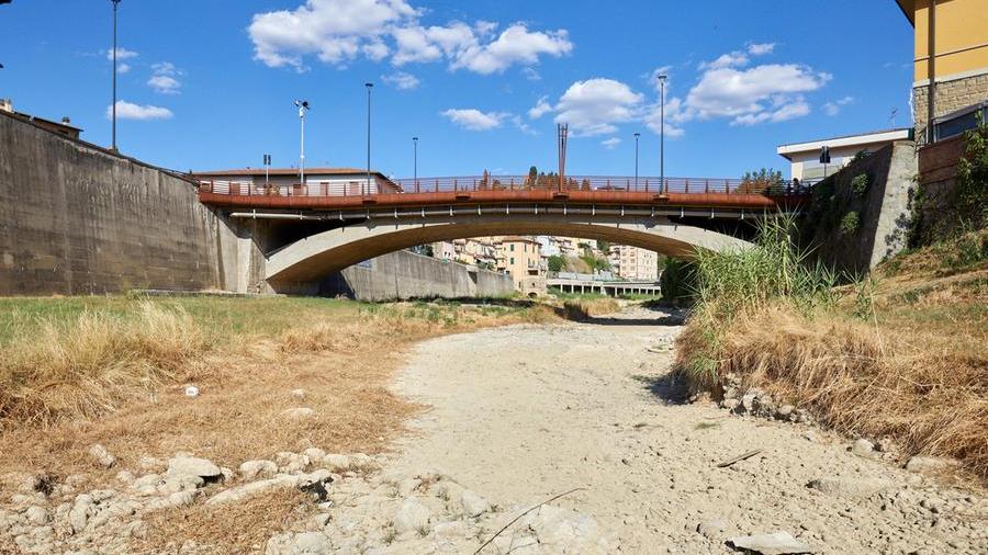 Nella foto di Juri Autovino, il Pesa, torrente che attraversa il territorio comunale di Montelupo Fiorentino, quasi del tutto privo d’acqua e trasformato in una strada: sul letto, ora, ci sono solo erbacce, radici secche, sassi e anche rifiuti