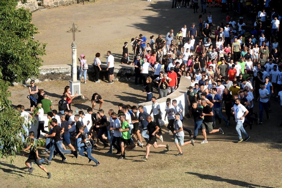 
	L'Ardia a piedi (foto Francesco Pinna)

