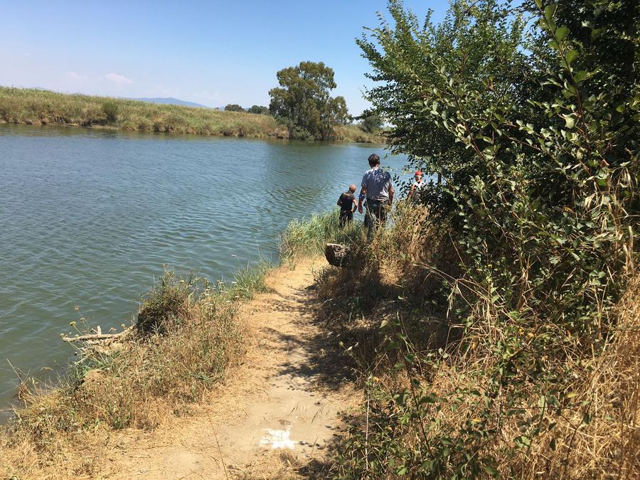Cadavere affiora nel fiume Ombrone