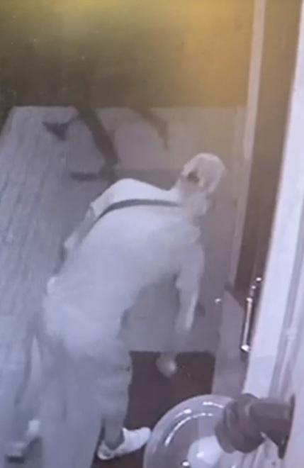Il ladro ripreso dalla telecamera