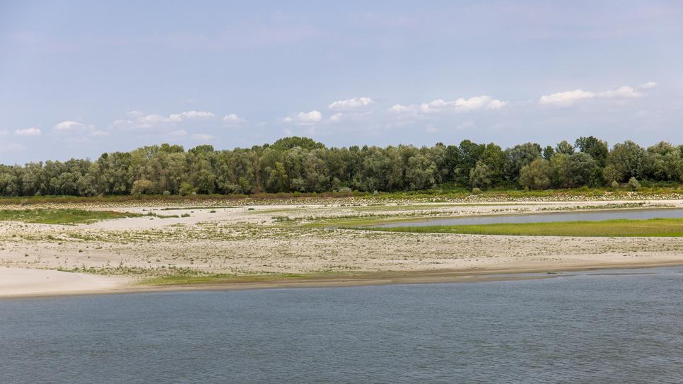 Acqua, impianti a rischio nel Ferrarese