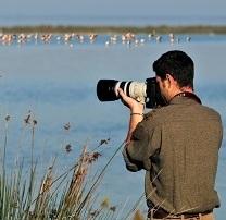 «Stagione turistica più lunga al Parco del Delta» 