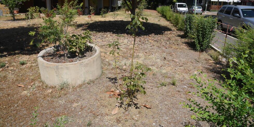 Così apparivano ieri mattina i giardini della zona di via Alluminio a Verde Maremma