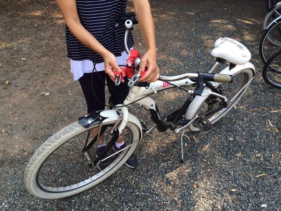 Ferrara. Ruba una bici e una borsetta: gli agenti lo trovano ubriaco in stazione