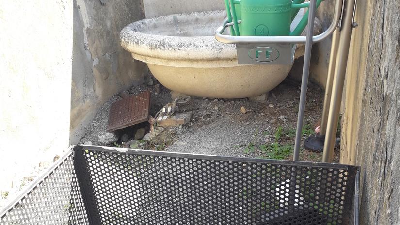 Castelvetro. Rifiuti, buche, acqua stagnante Cimitero in mano al degrado