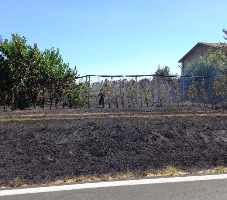 Copparo. Ferito dopo l’incendio al frutteto: «Ma non ho rischiato la vita» 