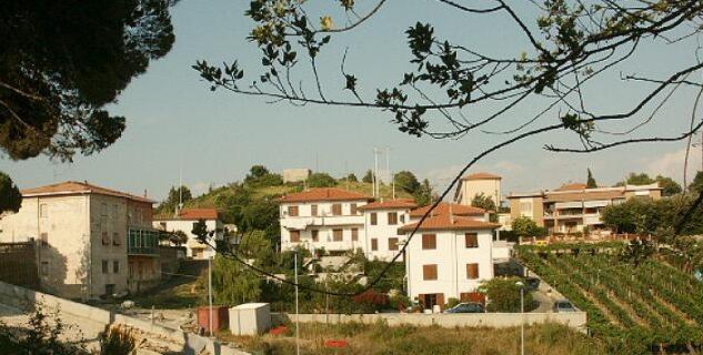 Nibbiaia, cinghiali vicini alle case. La preoccupazione dei cittadini