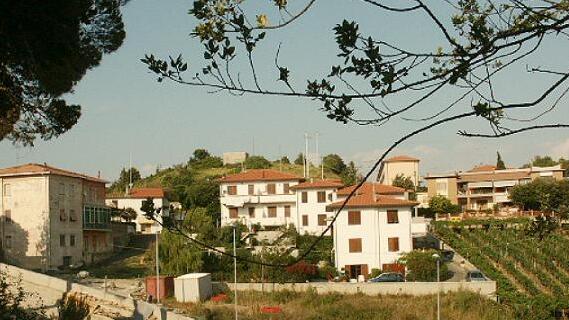 Nibbiaia, cinghiali vicini alle case. La preoccupazione dei cittadini