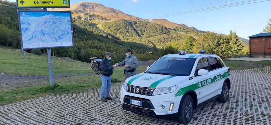 Pievepelago, raccoglie mirtilli senza autorizzazione: multa da 500 euro