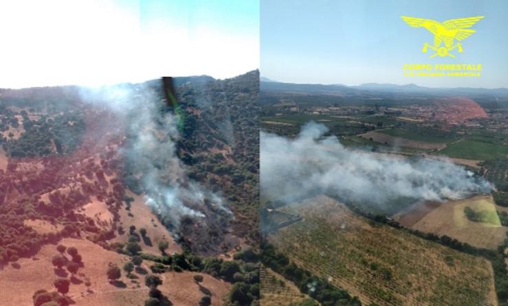 
	Gli incendi di Usini e Berchiddeddu


