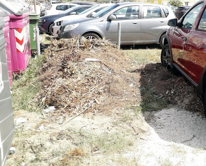 Cumuli di rifiuti ai Lidi comacchiesi. Scarso decoro e pericolo 