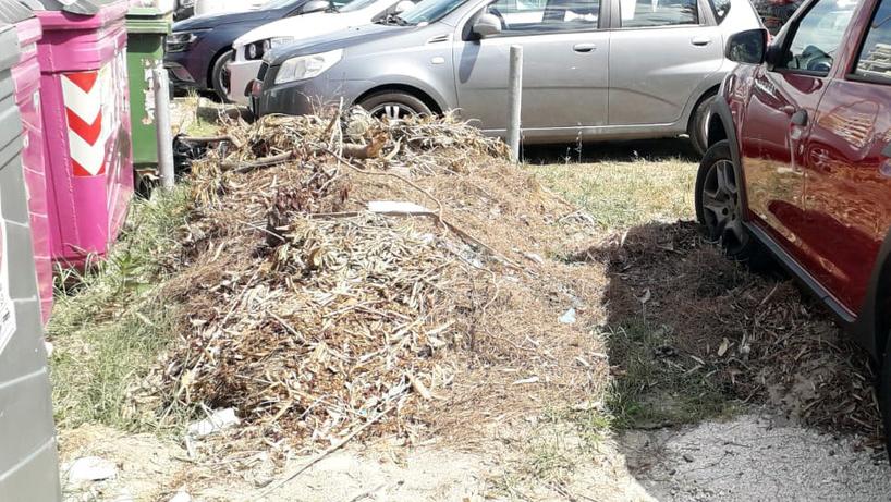 Cumuli di rifiuti ai Lidi comacchiesi. Scarso decoro e pericolo