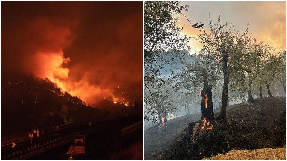 Inferno in Versilia, a caccia dell’innesco in un canneto di Bozzano: «Così è nato l’incendio» 
