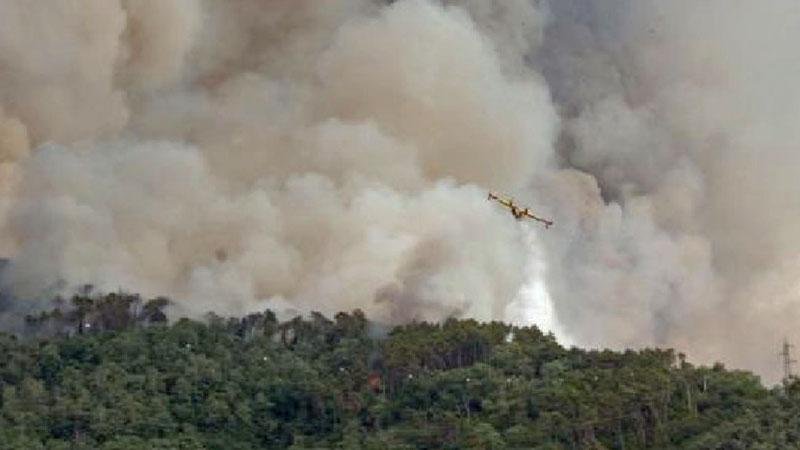 Inferno in Versilia, le fiamme mangiano le case: «Un disastro, ci rialzeremo» 