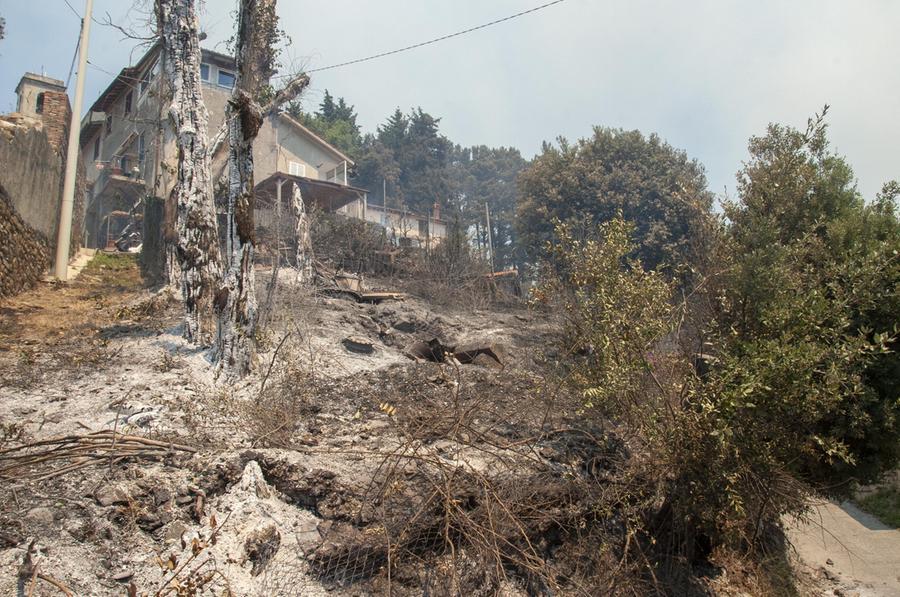 
	Massarosa, una delle case attaccate dalle fiamme (foto Paglianti)

