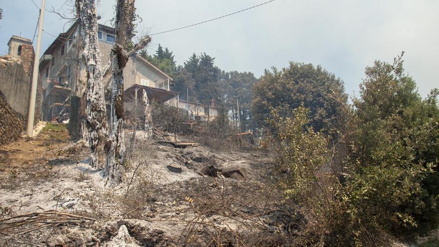 Massarosa, una delle case attaccate dalle fiamme (foto Paglianti)