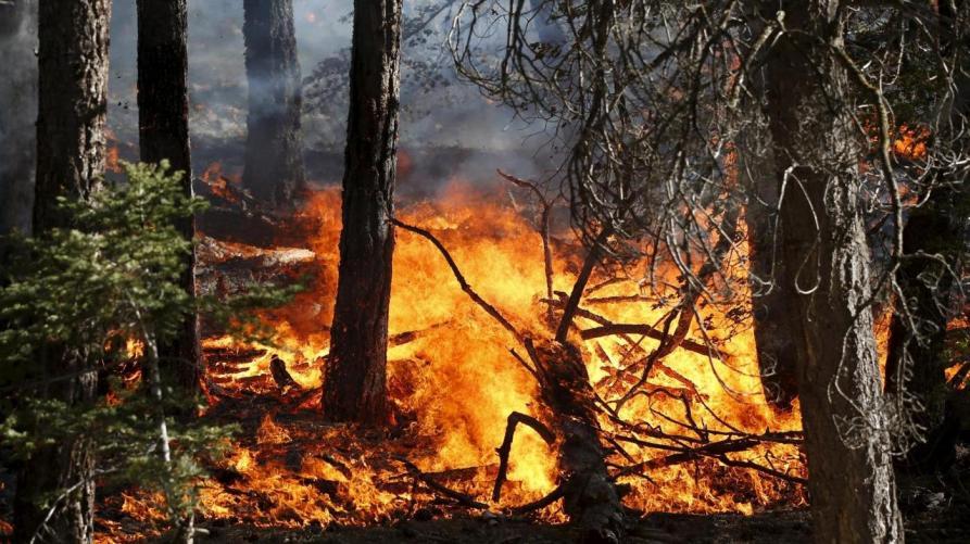 
	Massima allerta anche il tutto Modenese per possibili incendi nei boschi e nelle campagne

