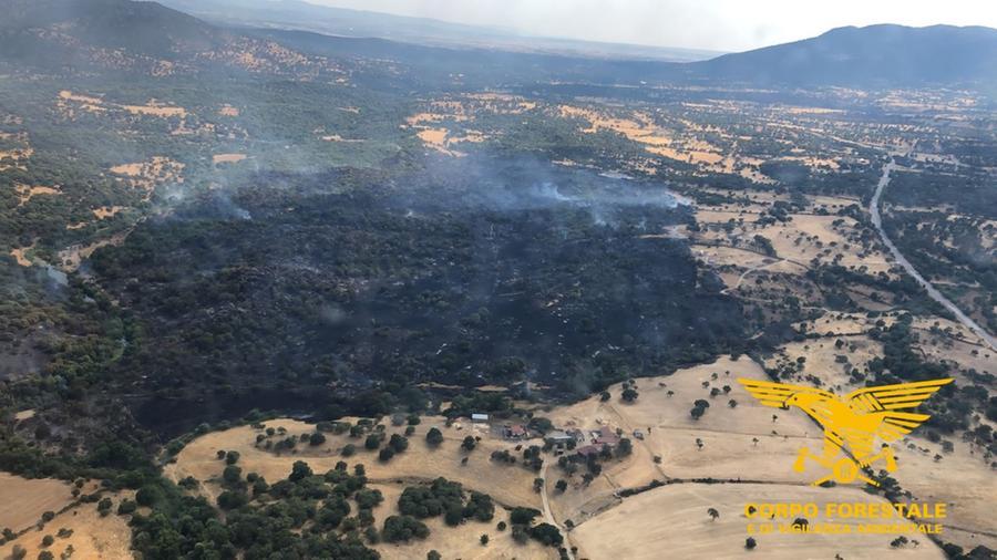 Roghi in tutta l’isola: in otto incendi intervento dei mezzi aerei